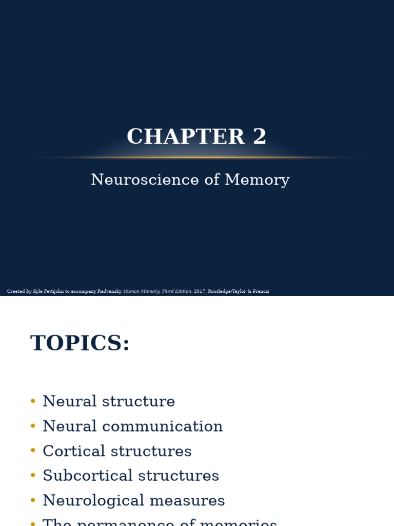 Memory 2 Neuroscience | PDF | Neuron | Excitatory Postsynaptic Potential