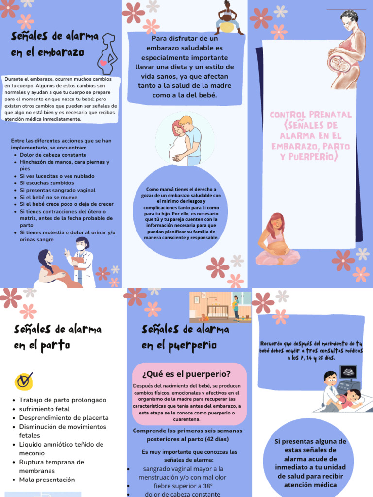 Triptico Señales de Alarma | PDF | Parto | El embarazo