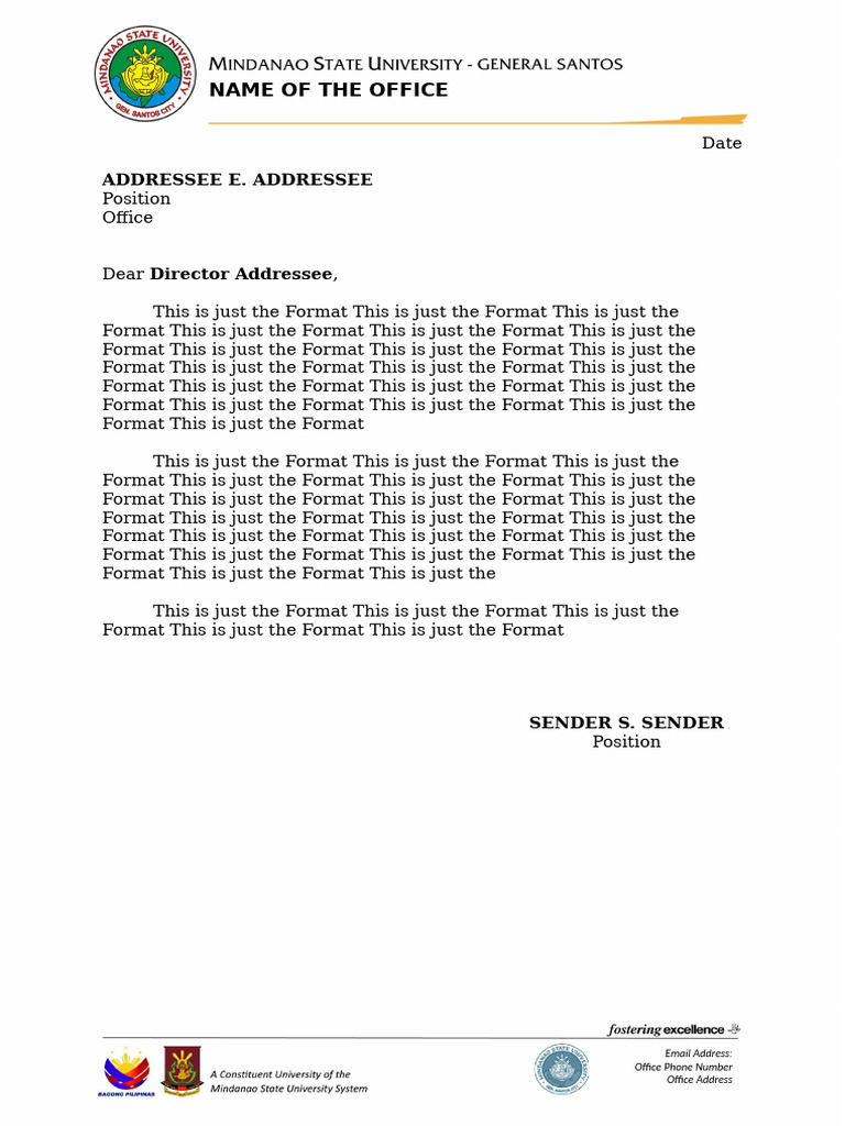 Professional Letter Format Template | PDF