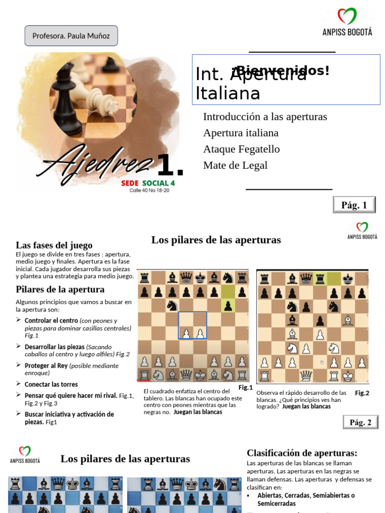 ANPISS (Nivel1) 28.10.24 | PDF | Aperturas de ajedrez | Juegos ...