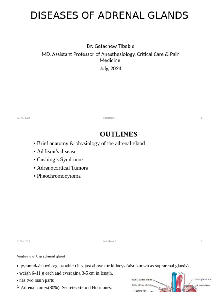 Diseases of Adrenal Glands | PDF | Adrenal Gland | Adrenocorticotropic ...