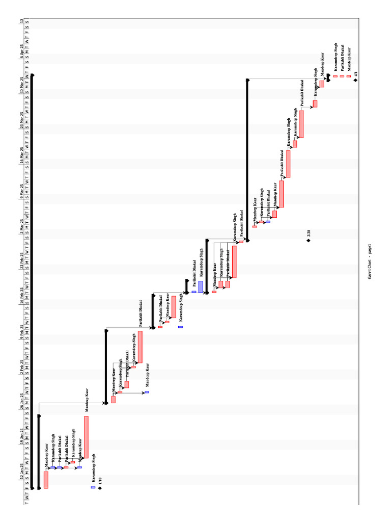 Gantt Chart | PDF