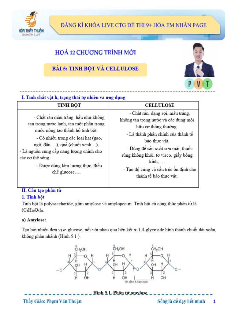 Tinh B T Và Cellulosee | PDF