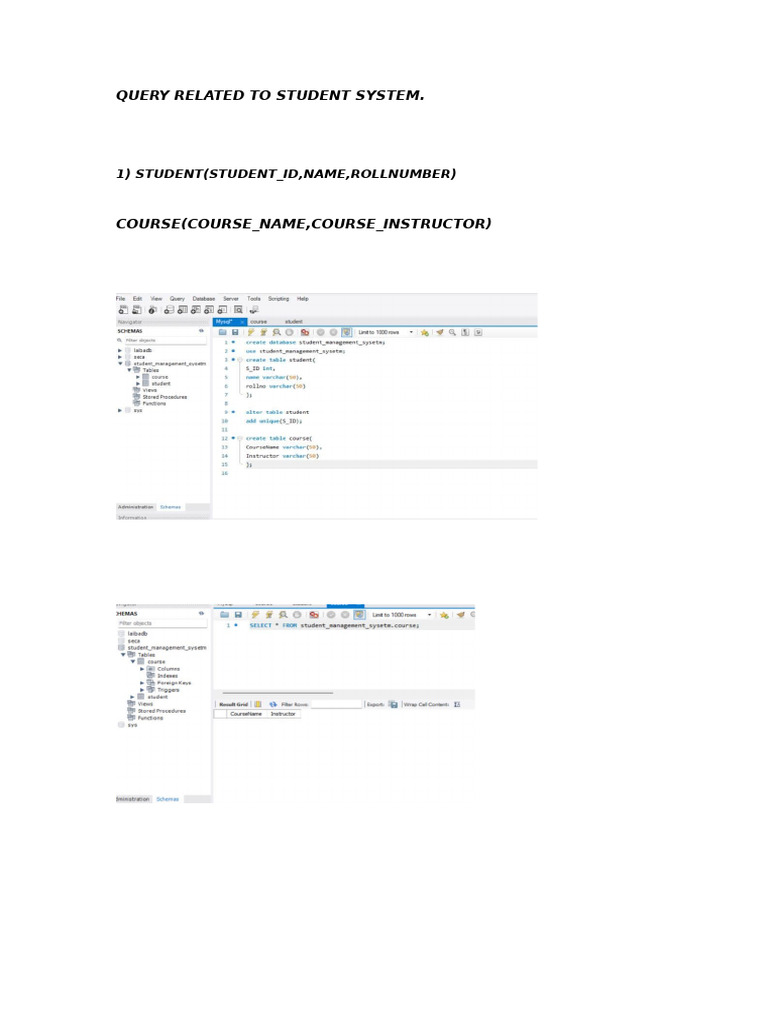 Student System Query Overview | PDF