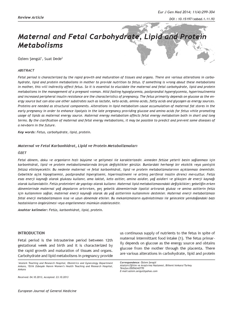 Maternal and Fetal Metabolism Insights | PDF | Insulin Resistance | Fetus