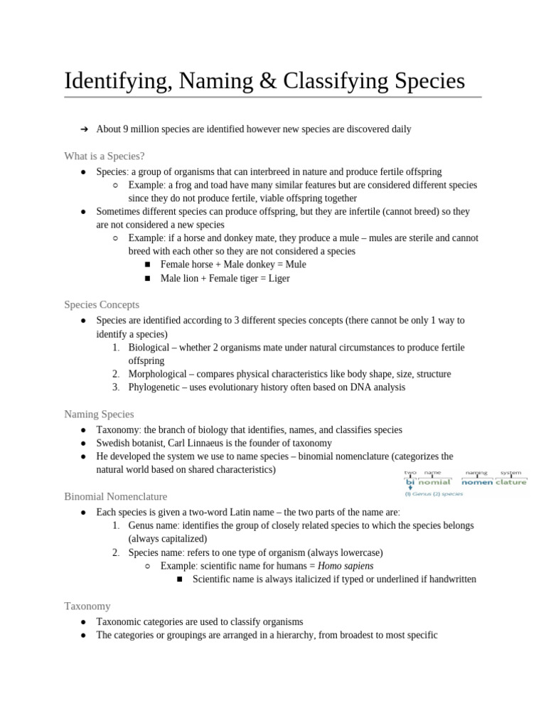 Understanding Species Identification & Taxonomy | PDF | Species ...