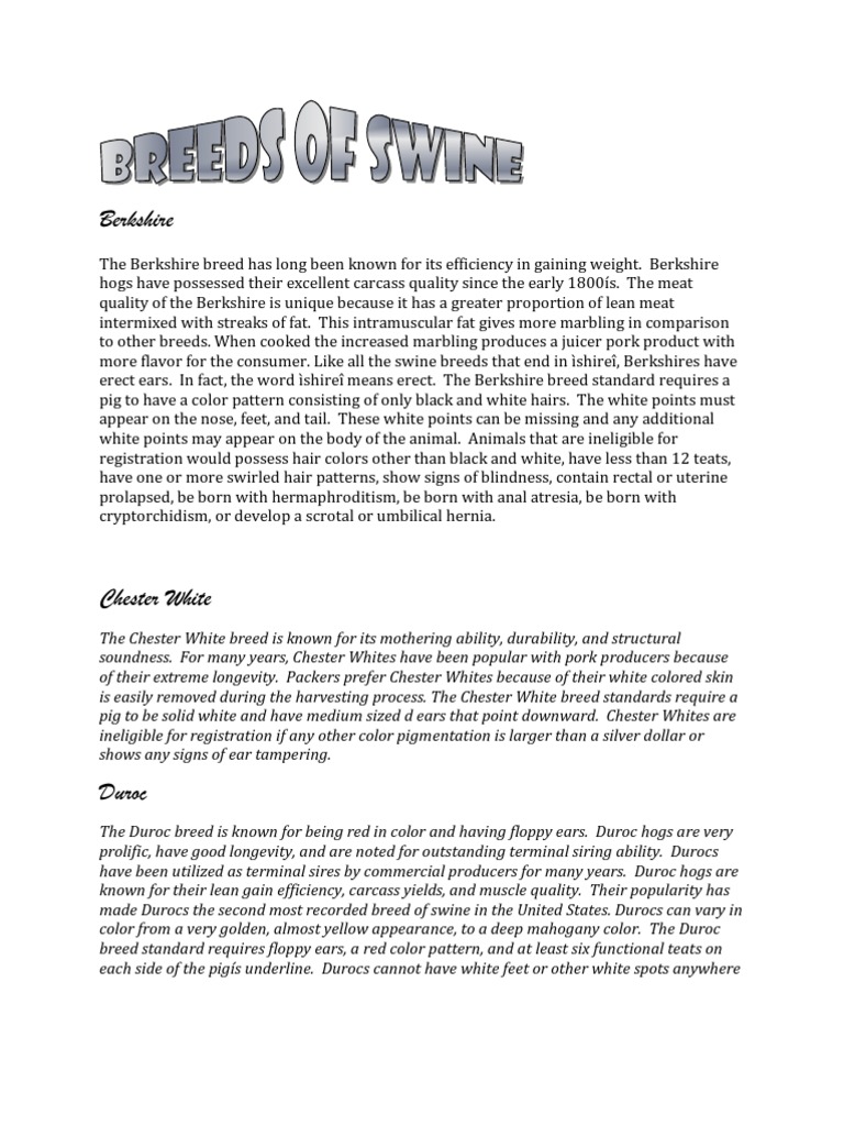 Breeds of Swine | PDF | Domestic Pig | Pig