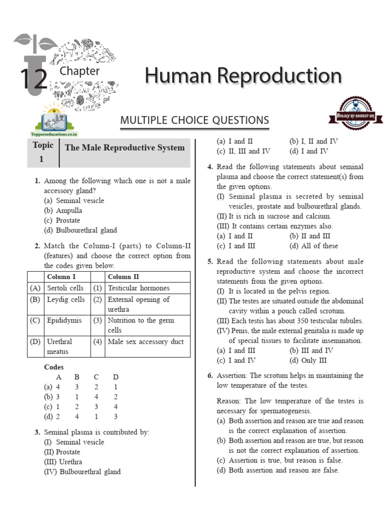 Male and Female Reproductive Systems Quiz | PDF | Menstrual Cycle ...