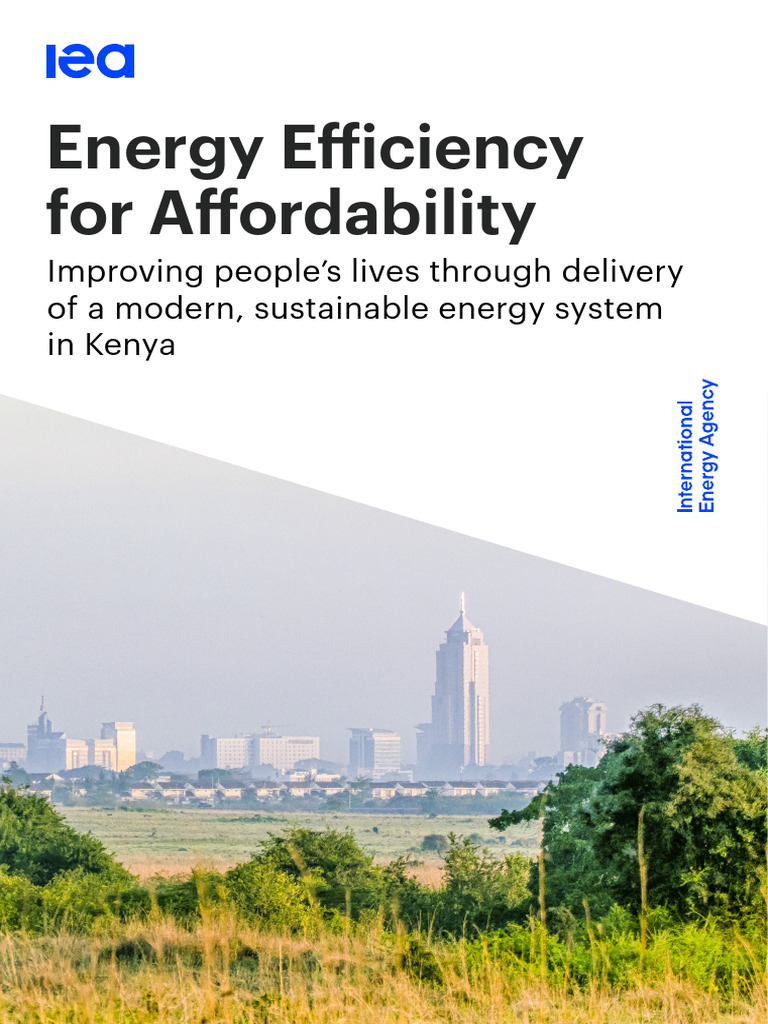 Energy Efficiency in Kenya's Energy System | PDF | Efficient Energy Use ...