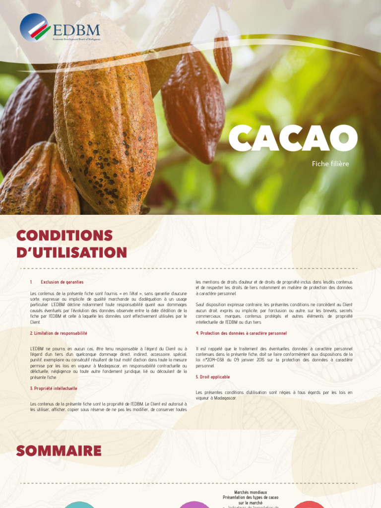 Edbm Cacao6 | PDF | Solides de cacao