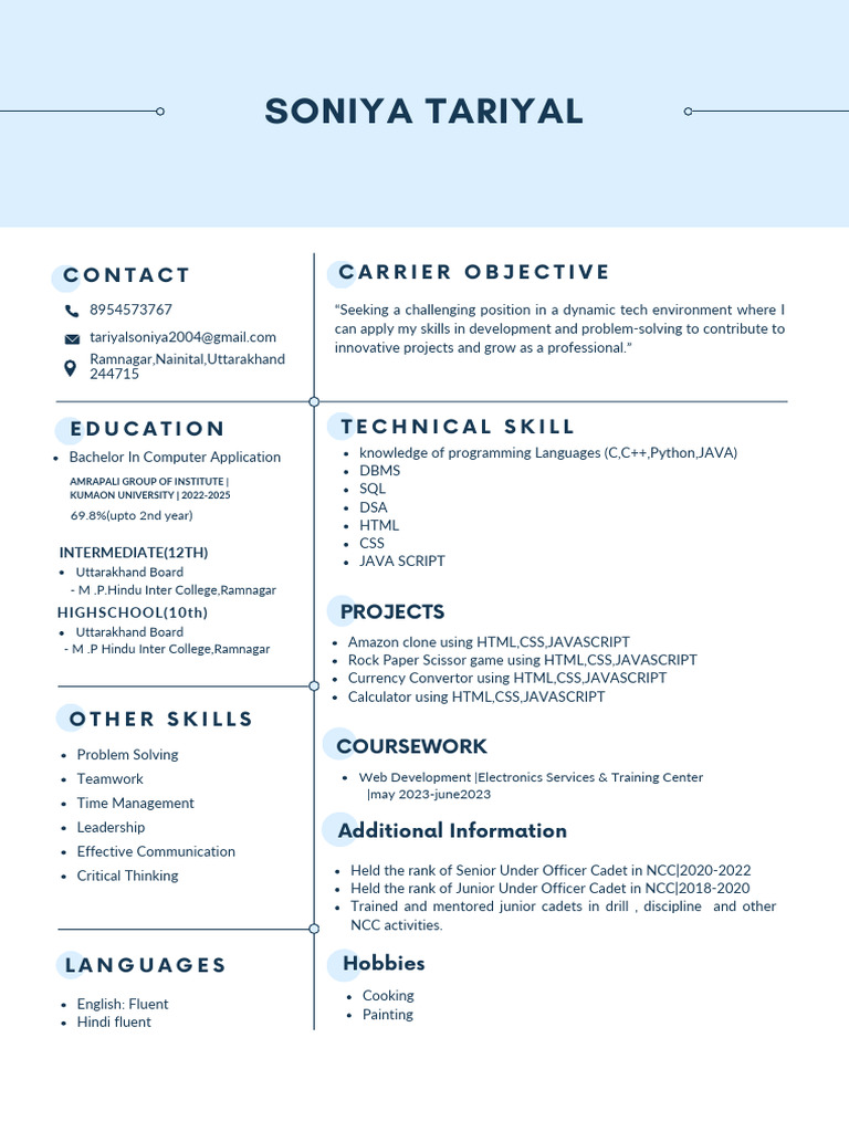 Abu Abu Minimalist Resume PDF - 1