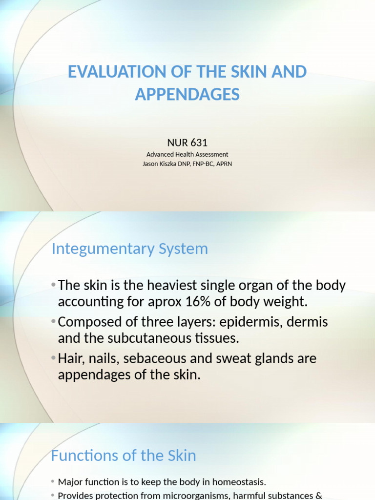 Skin Assessment and Anatomy Overview | PDF | Skin Cancer | Dermatitis