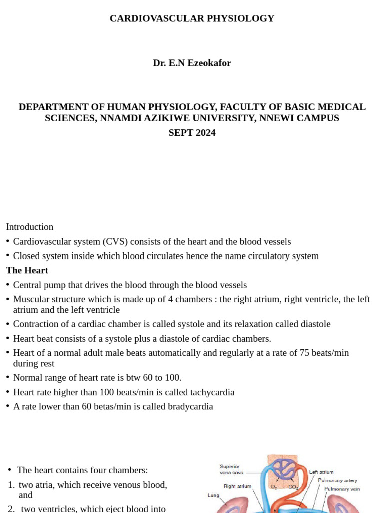 Cardiovascular Physiology | PDF | Diastole | Heart Valve
