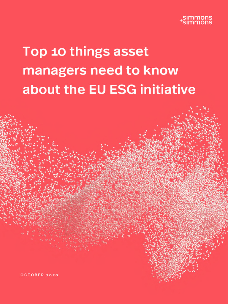 Top Ten Things Asset Managers Should Know About ESG | PDF ...