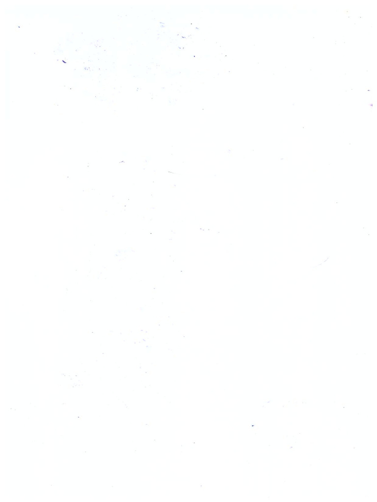 Scanned Image 6 | PDF