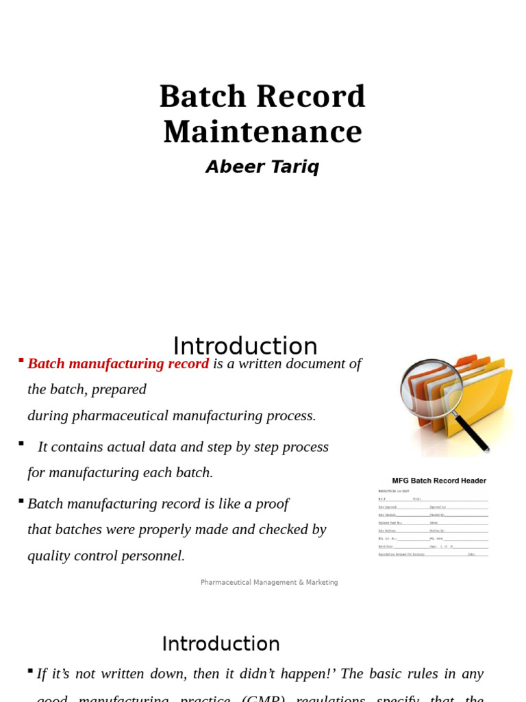 13 Batch Record Maintanance | PDF