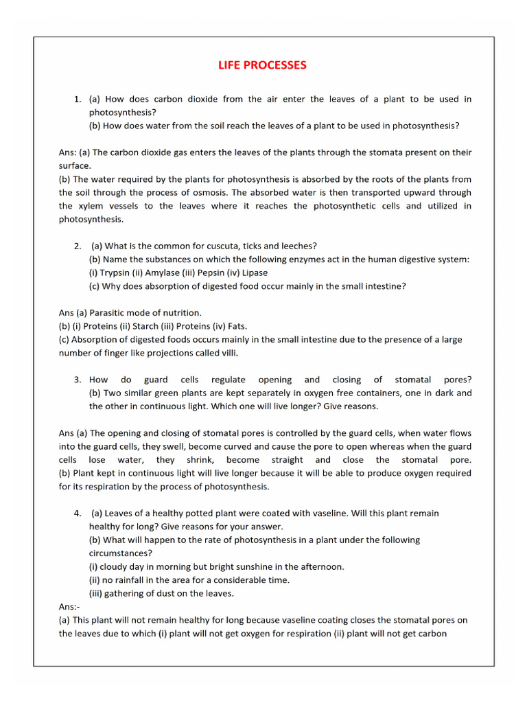 Selfstudys Com File | PDF