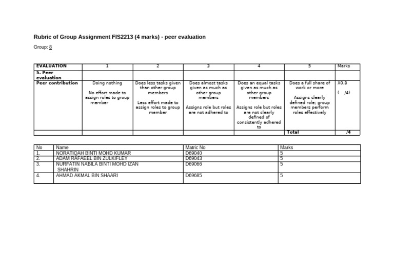 FIS2213 Group Assignment Peer Evaluation Rubric | PDF