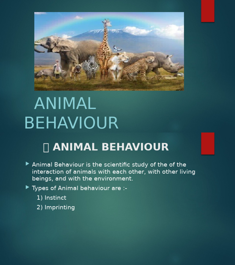 Understanding Animal Behaviour Types | PDF