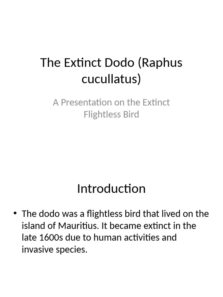 The Extinct Dodo Bird: Causes & Legacy | PDF