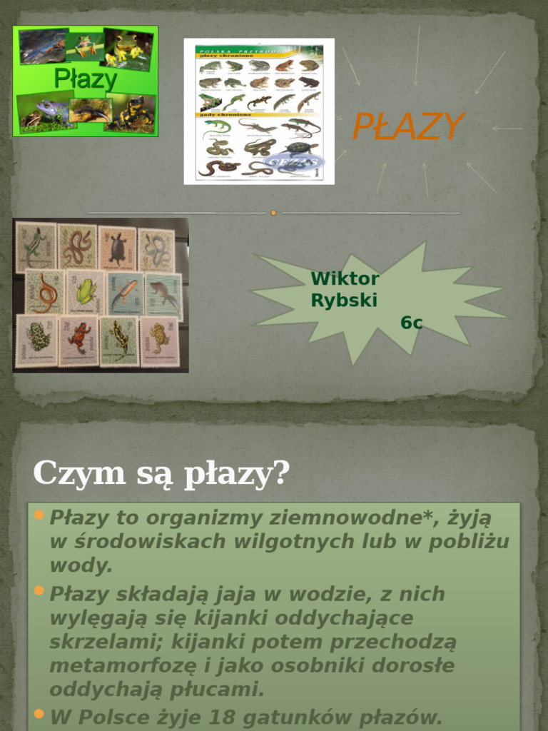 Płazy | PDF