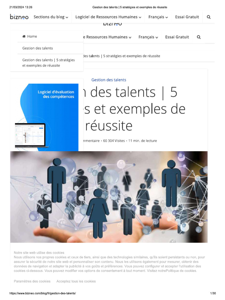 Gestion Des Talents 5 Strategies | PDF
