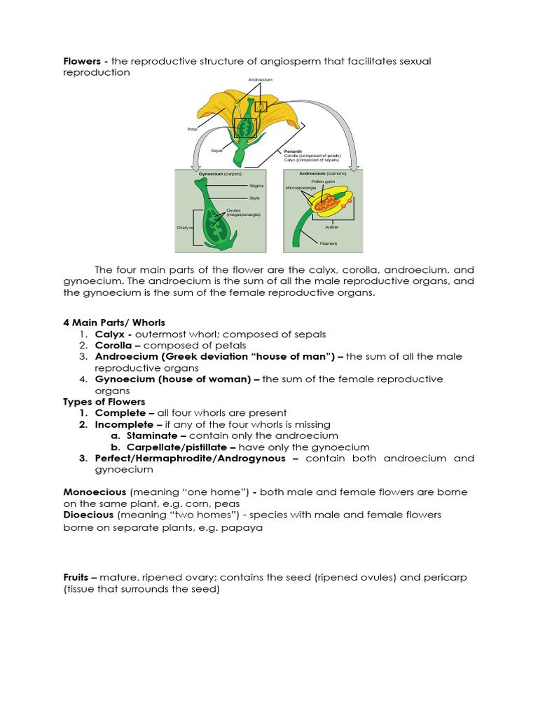 UNIT 2 Lesson 5 Shoot System Reproductive Parts | PDF | Fruit | Seed