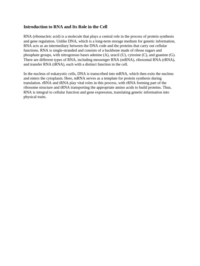 RNA's Role in Protein Synthesis | PDF
