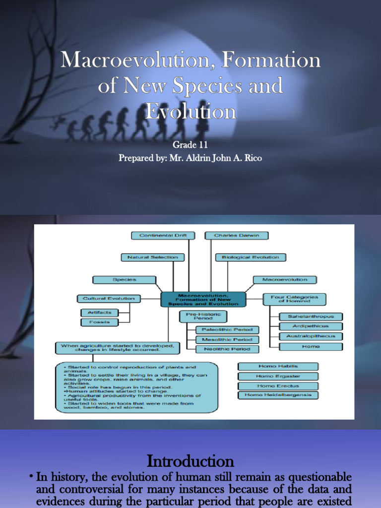 Macroevolution and Species Formation | PDF | Homo | Paleolithic