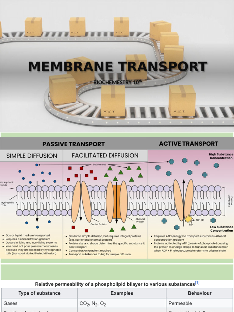 Membrane Transport | PDF