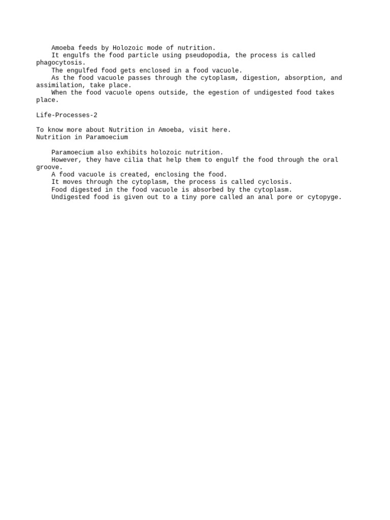 Life Processes Notes 5 | PDF