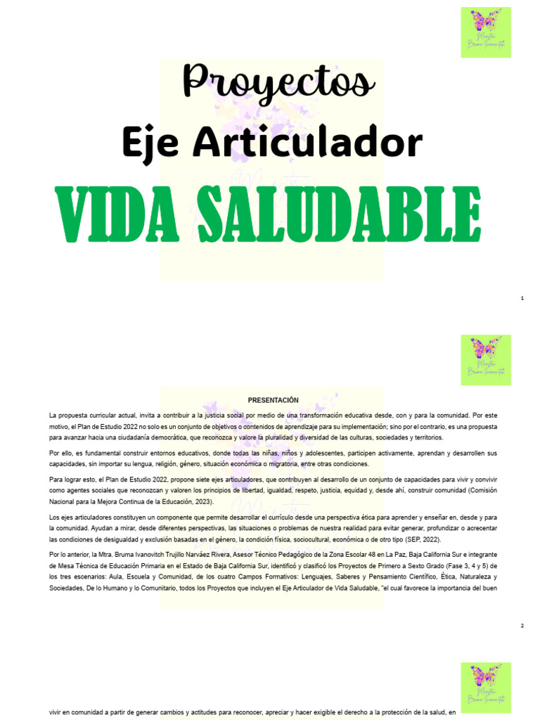 Ejes Articuladores de Vida Saludable | PDF | Pensamiento | Comunidad