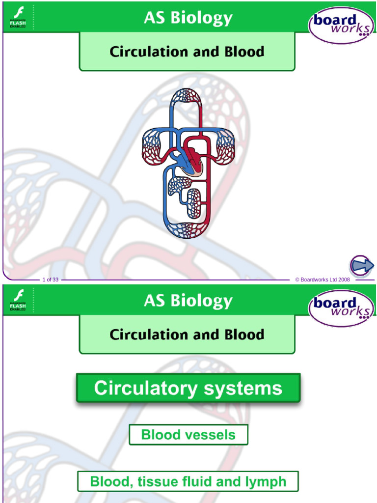 Understanding Circulatory Systems | PDF | Lymphatic System ...