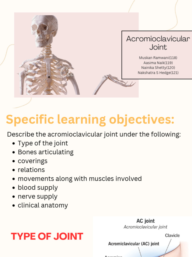 Acromioclavicular Joint Anatomy Explained | PDF