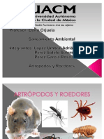 roedores y artrodpodos