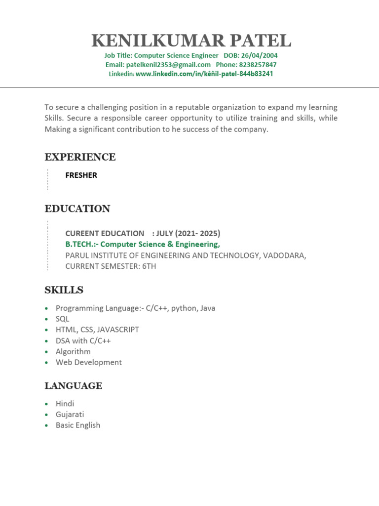 Kenil Kumar Patel's Resume Summary | PDF