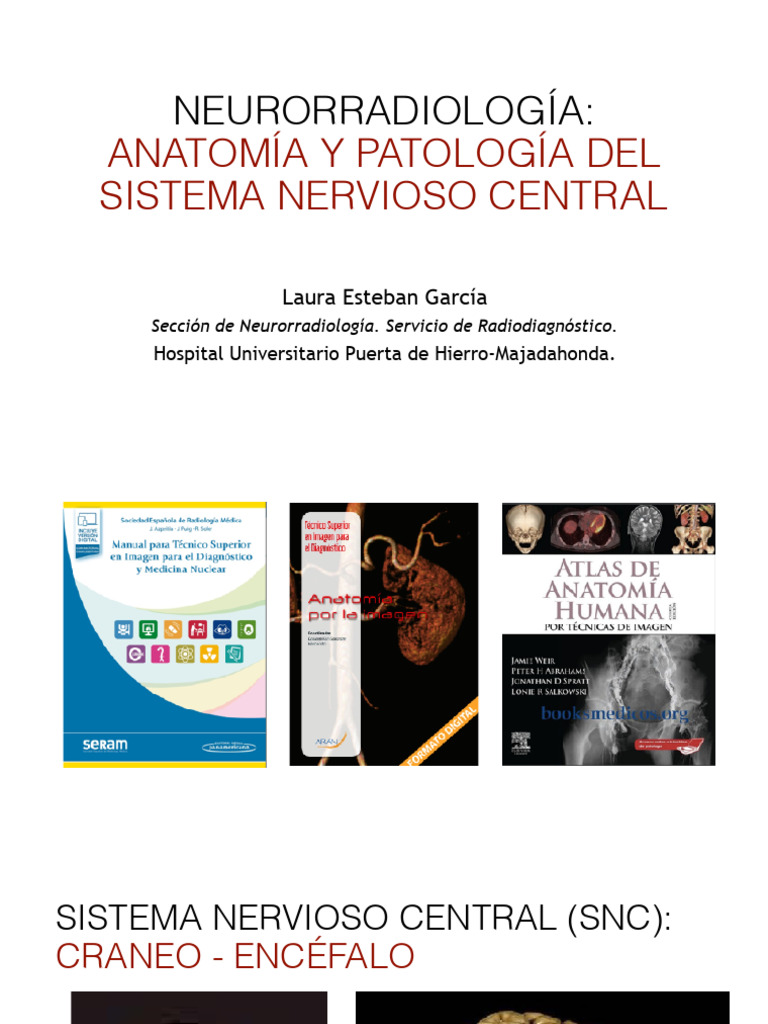 Clase 1. NeuroRX Anatomía PDF | PDF | Cráneo | La columna vertebral