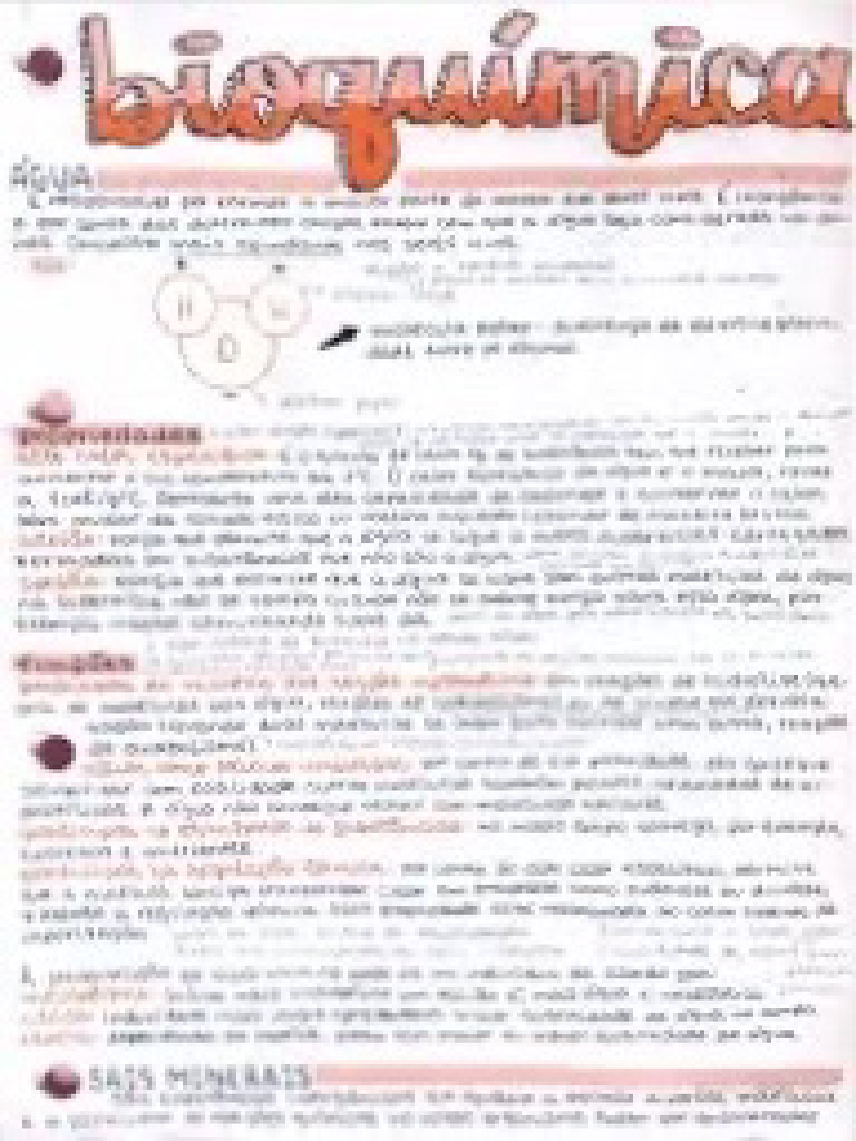 4 - de - Fev., - Doc - 1 2 | PDF