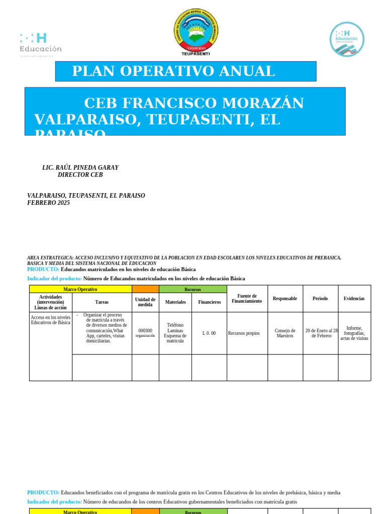 Plan Operativo Anual 2025 Honduras | PDF | Plan de estudios | Enseñando