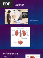 CT Urography: Techniques & Protocols | PDF | Ct Scan | Kidney