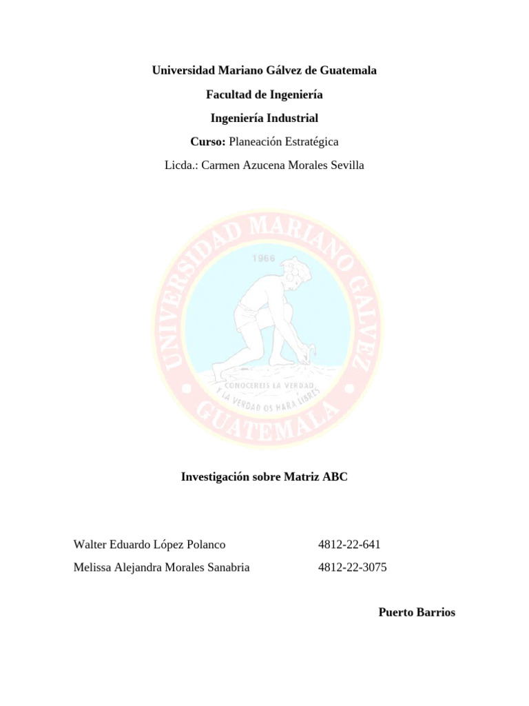 Investigación Sobre Matriz ABC | PDF | Producto (Negocio) | Mercado ...