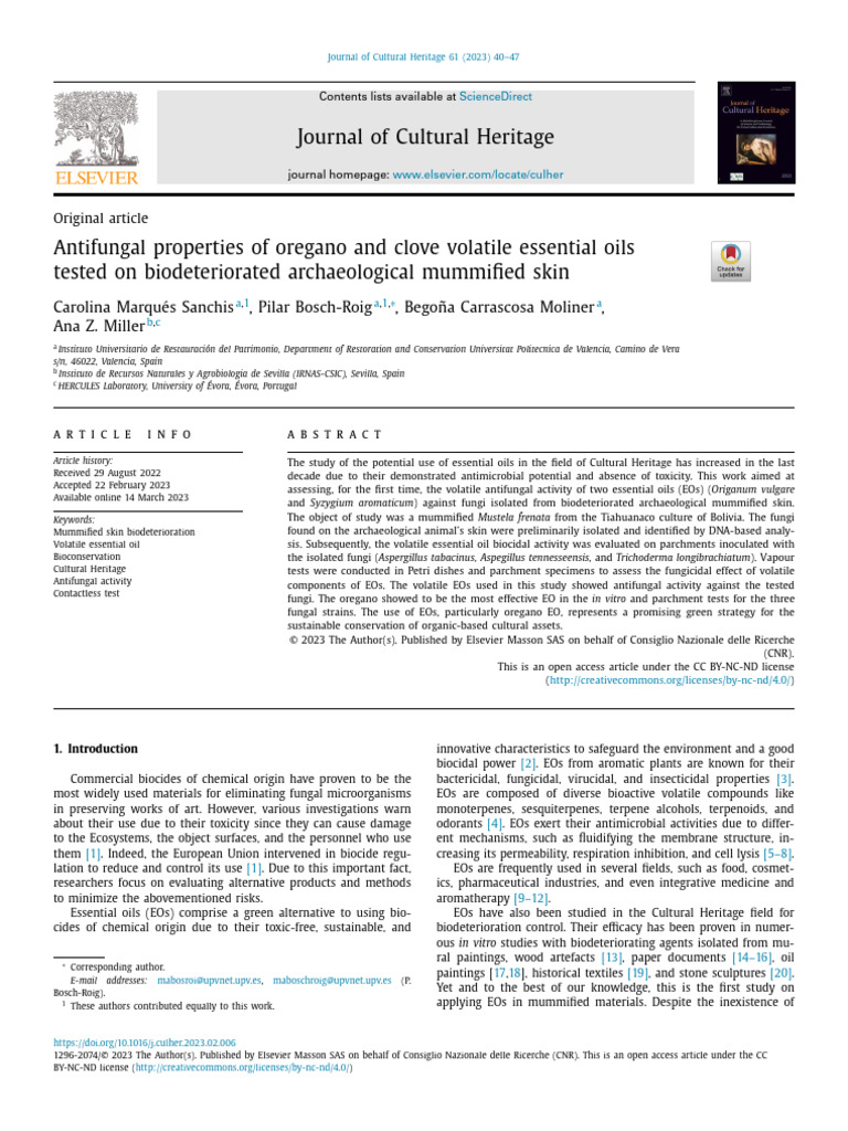 Oregano and Clove Mummified Skin | PDF | Fungus | Antimicrobial
