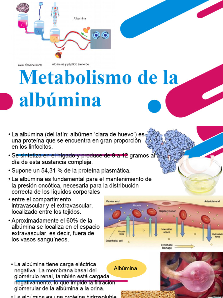Que Es La Albumina En Sangre | Albúmina En Sangre Valores Normales – OCAB