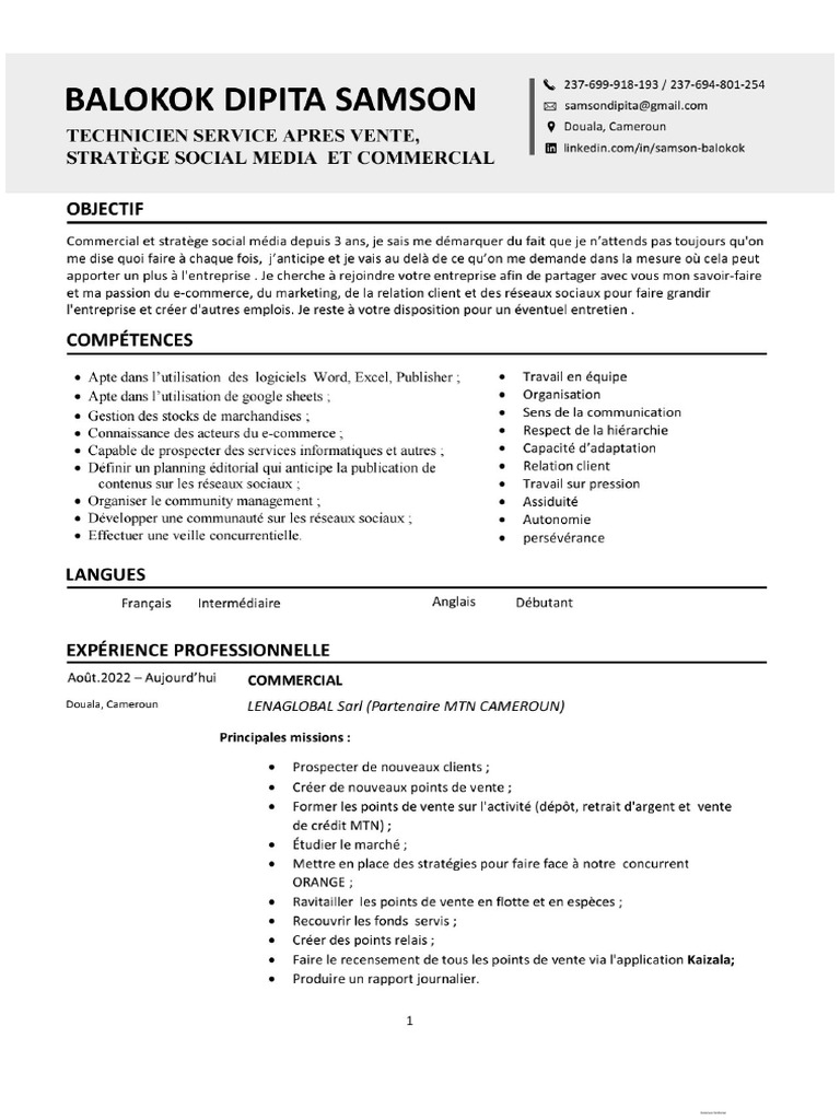 Cv Balokok Dipita Samson | PDF