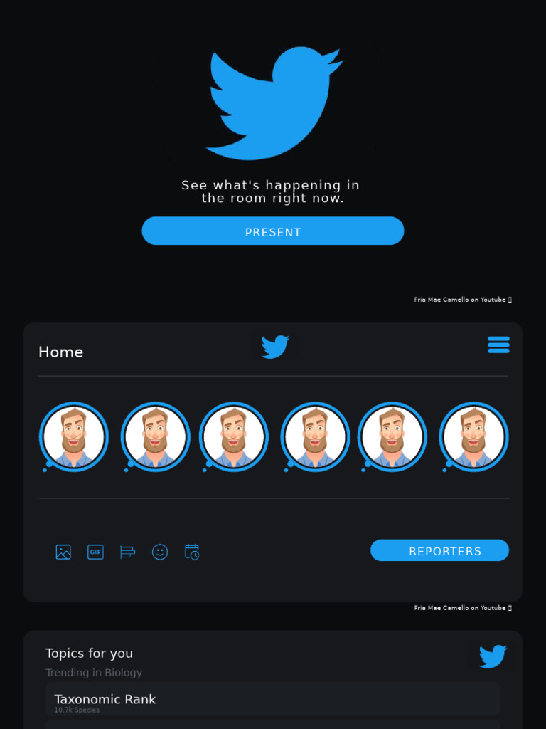 Twitter Animated | PDF