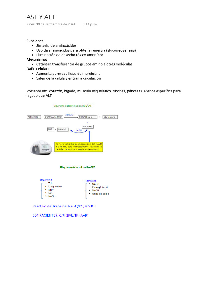 AST y ALT: Funciones y Procedimientos | PDF | Transaminasa | Alanina ...
