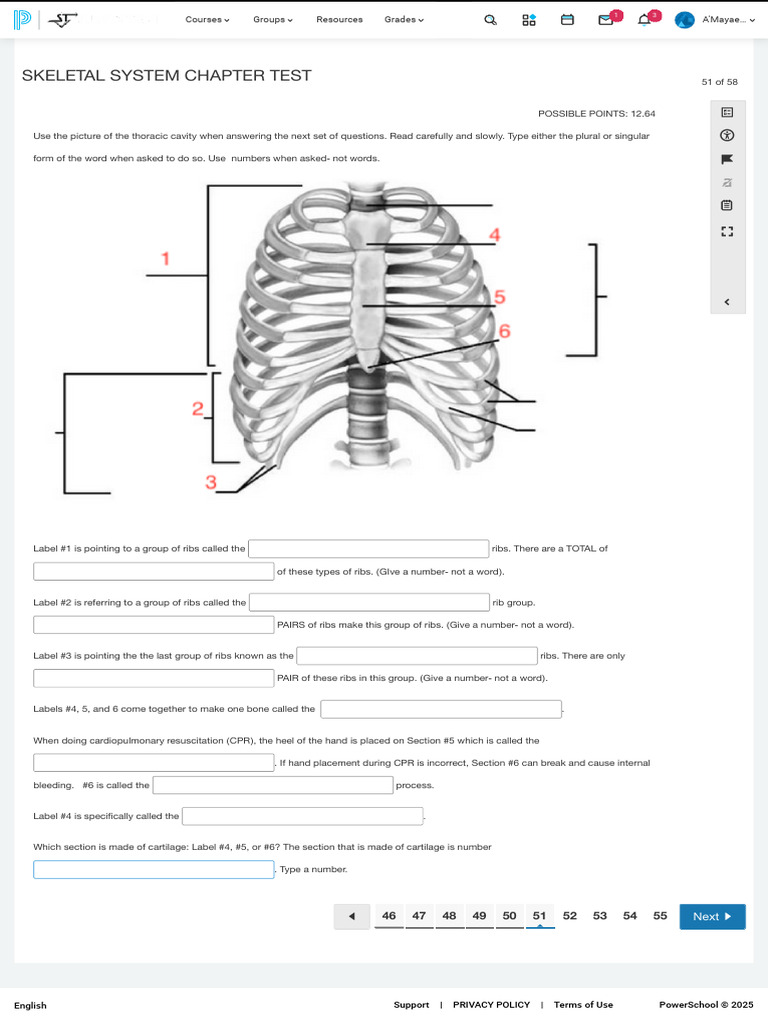 Skeletal System Chapter Test Guide | PDF | Thorax (Human Anatomy ...