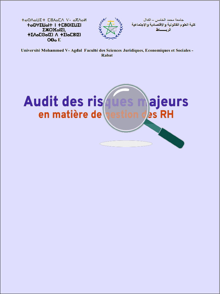 Audit des Risques en Gestion RH | PDF | Gestion des ressources humaines ...