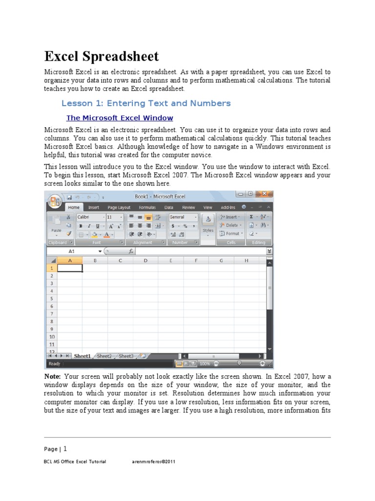 Excel Spreadsheet: Lesson 1: Entering Text and Numbers | PDF ...