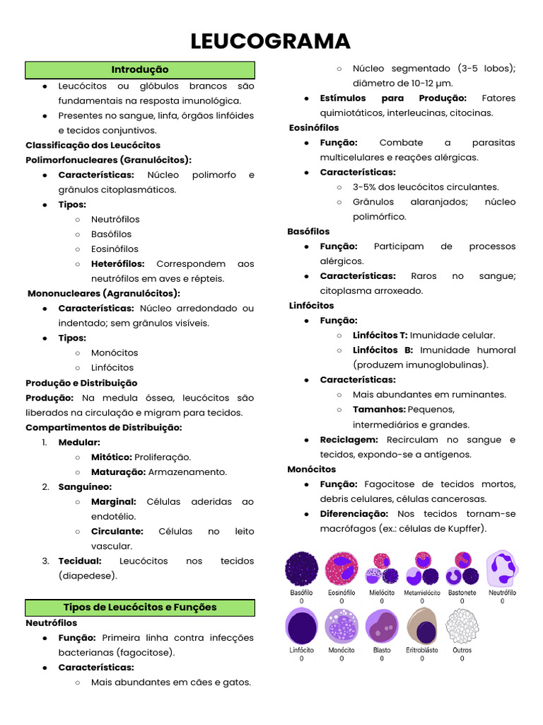 Leucograma: Tipos e Funções dos Leucócitos | PDF | Glóbulo branco ...